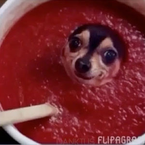 Meet your Posher, Timothy